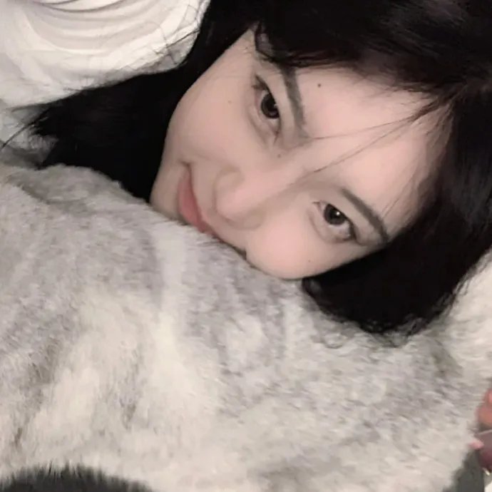 羊毛战记第一季